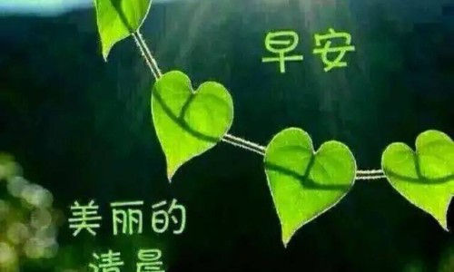 泡澡用药包好还是不好-泡澡药包配方大全-泡澡药包配方大全,中国泡澡用药网站